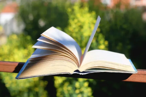 ScreenShot_2025-11-18_111316_670