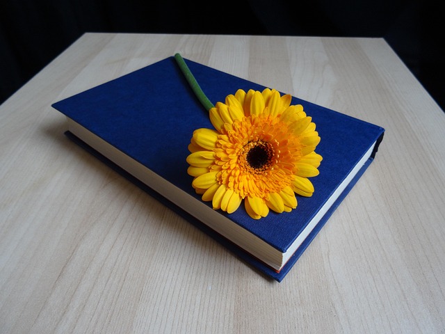 book-2539968_640