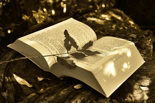 book-2855857_640